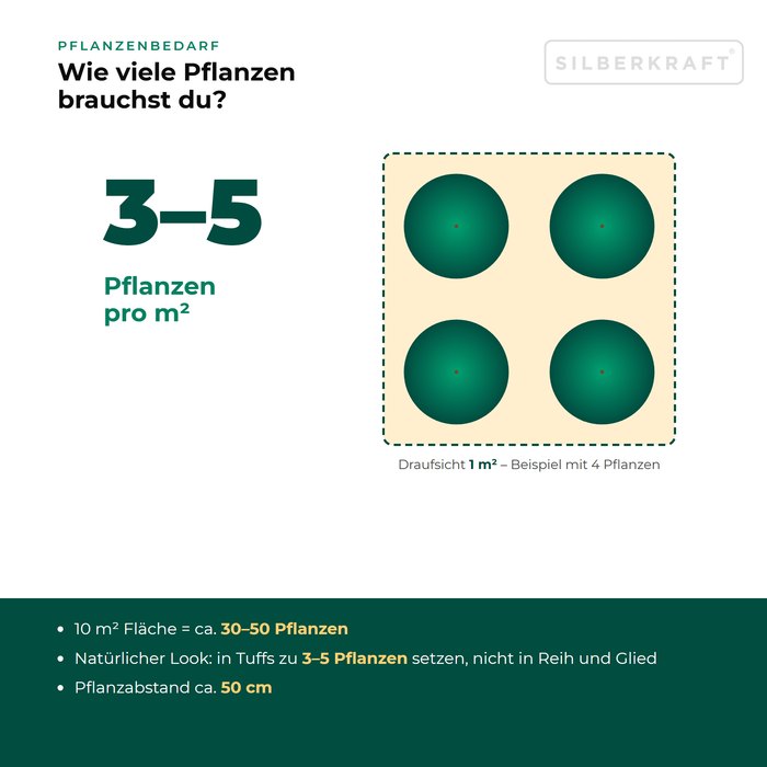 Pflanzenbedarf Rosen-Malve (Malva alcea): 3–5 Pflanzen pro m², 10 m² Fläche = ca. 30–50 Pflanzen