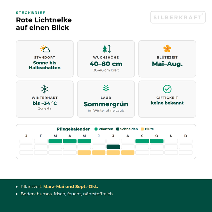Steckbrief Rote Lichtnelke (Silene dioica) mit Standort, Wuchshöhe, Winterhärte, Giftigkeit und Pflegekalender