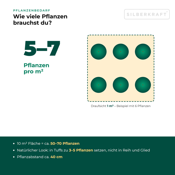Pflanzenbedarf Steppen-Wolfsmilch (Euphorbia seguieriana): 5–7 Pflanzen pro m², 10 m² Fläche = ca. 50–70 Pflanzen