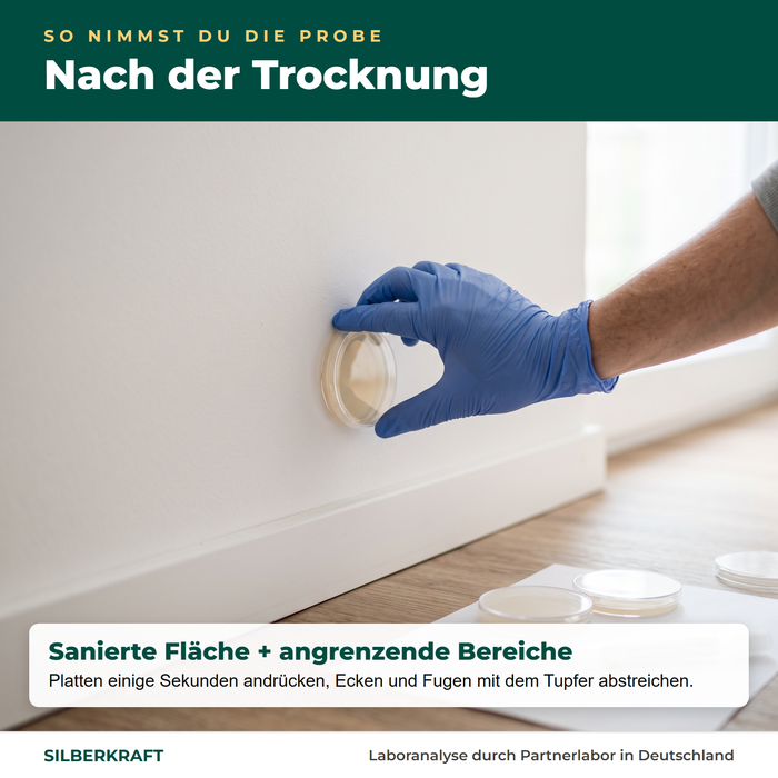 Bemonstering op de gesaneerde, droge muur met handschoenen