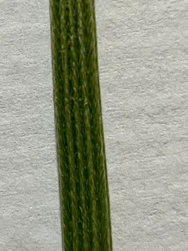 Smalle weegbree — Bild 5