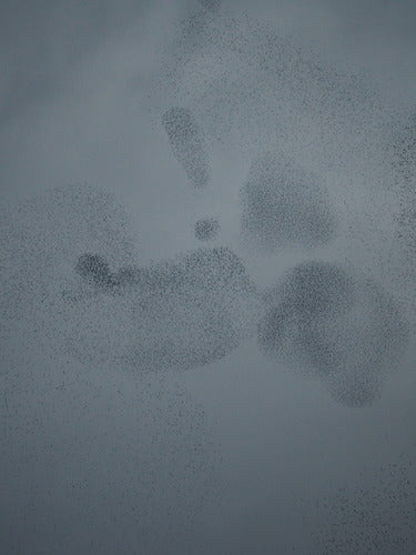 ster — Bild 5