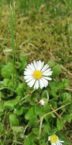 Mooi — Bild 2