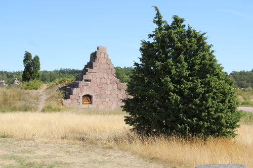 jeneverbes — Bild 3