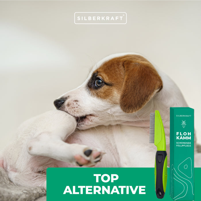 Flohkamm Hund & Katze - Silberkraft
