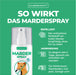 Marderspray - Silberkraft