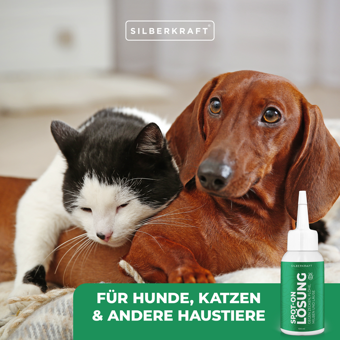 Spot On Lösung Hund und Katze - Silberkraft