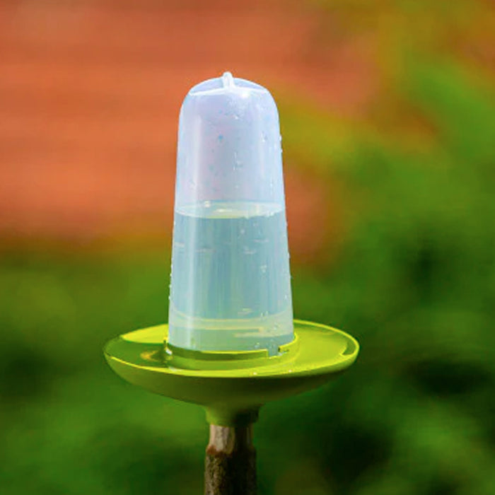 Vogelfutterspender und Vogeltränke - 3-in-1 Set - Multifunktionale Futterstation - 22 cm - Silberkraft