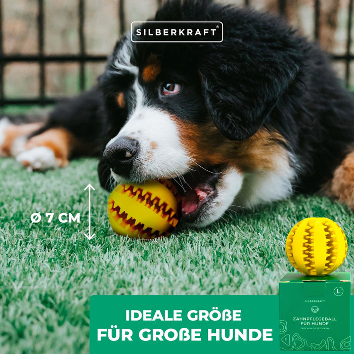 Hundeball mit Noppen zur Zahnpflege - Silberkraft